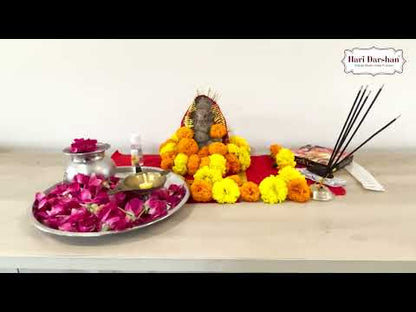 Hari Darshan Ganpati Utsav Kit for Ganpati Pooja with Eco-Friendly Water Soluble Ganpati Statue/Ganpati Puja Kit/Ganesh Chaturthi Puja Kit (14 Items) with Detailed Puja Vidhi in Hindi & English